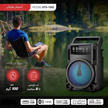 :اسپیکر GTS1360